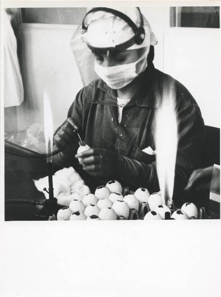 Milano - Fiera campionaria del 1973 - Padiglione Montedison - Riproduzione di pannello espositivo - Farmaceutici - Farmitalia - Laboratorio