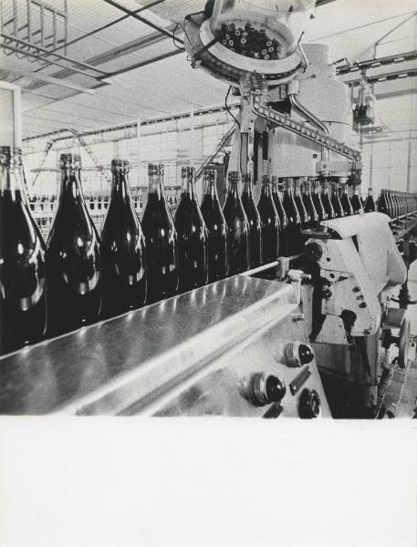 Alimont - Bertolli - Stabilimento - Linea di imbottigliamento vino - Dettaglio