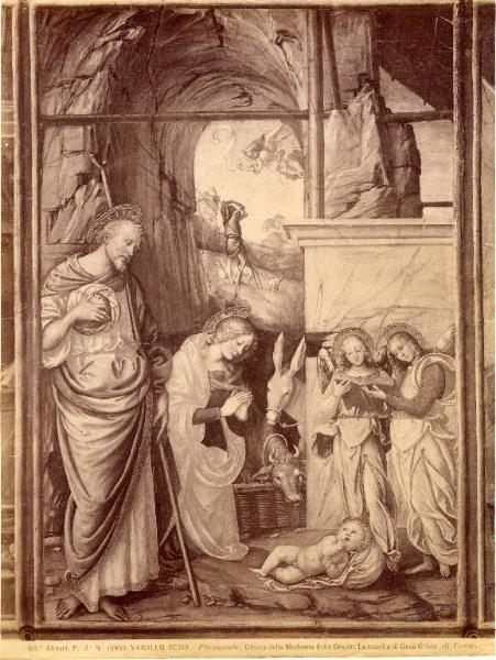 Dipinto - La nascita di Gesù Cristo - Gaudenzio Ferrari - Varallo Sesia - Chiesa della Madonna delle Grazie