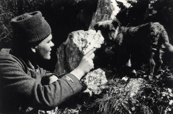 Guerra d'Albania - Fronte greco - Postazione della Divisione Julia sul monte Scendèli