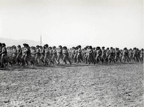 Esercito italiano - Manovre militari in Sicilia