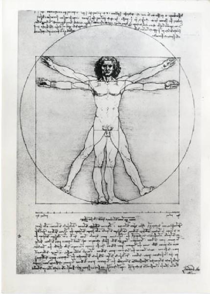 X Triennale - Mostra critica dell'oggetto d'uso - Uomo vitruviano - Leonardo da Vinci