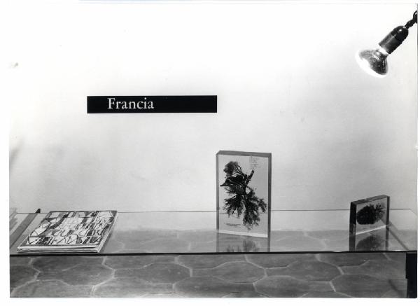 XI Triennale - Sezione della Francia - Vetrina