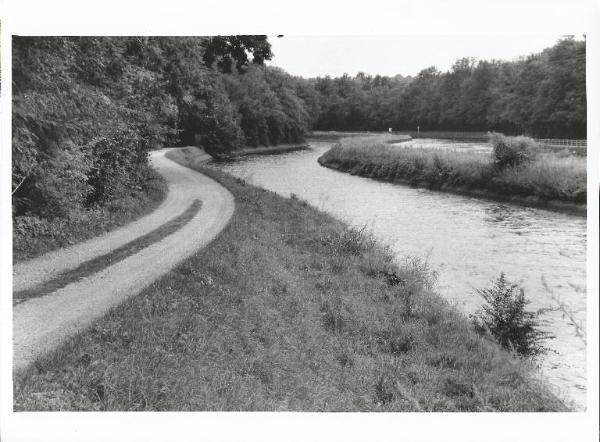 Somma Lombardo - Canale Villoresi - Canale Industriale (o Canale Vizzola) - Strada sterrata - Vegetazione