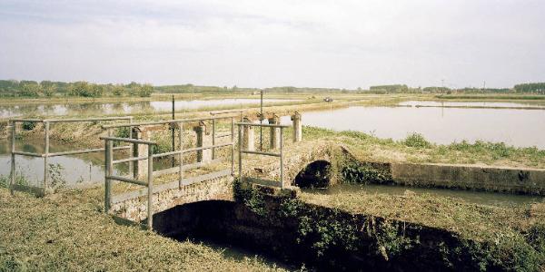 Risaie - Canale - Chiusa