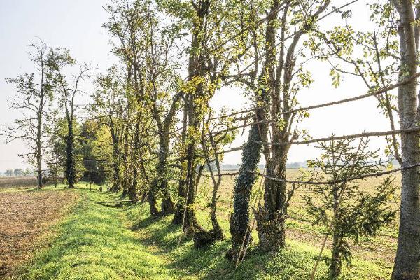 Bergamo - Campi coltivati - Alberi - Roccolo