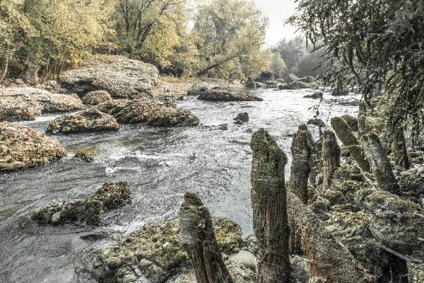 Paderno d'Adda - Fiume Adda - Forra d'Adda - Rocce - Vegetazione