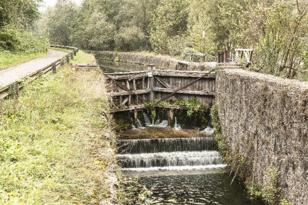 Porto d'Adda - Naviglio di Paderno - Conca vinciana - Vegetazione - Strada ciclopedonale