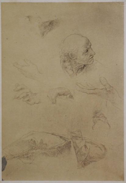 Sanzio, Raffaello - Studio per il cartone della Disputa - Particolare - Testa - Mani - Disegno