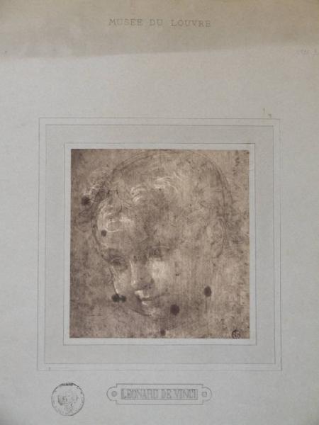 Sogliani, Giovannantonio di Francesco - Testa di bambino girata verso sinistra - Disegno - Parigi - Louvre - Dipartimento delle arti grafiche