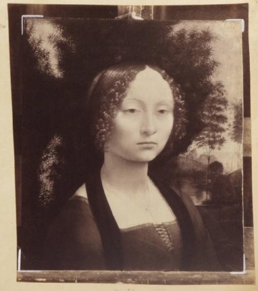 Leonardo da Vinci - Ritratto di Ginevra Benci - Dipinto - Olio su tavola