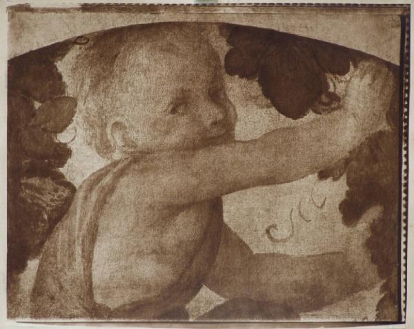 Luini, Bernardino - Putto - Affresco staccato - Chantilly - Musée Condé