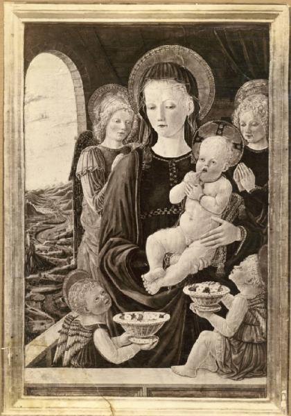 Boccati Giovanni - Madonna con Bambino e angeli - Dipinto - Tempera su tavola