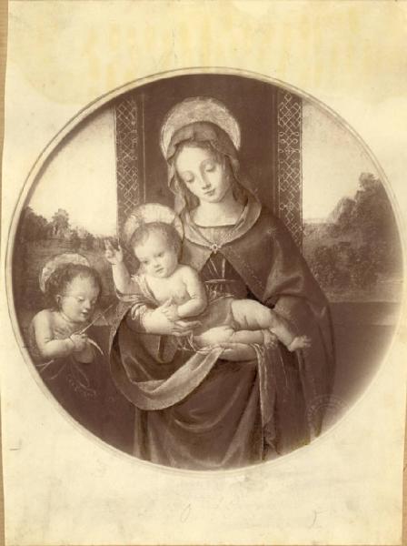 Raffaellino del Garbo (detto il) - Madonna con Bambino e San Giovannino - Dipinto - Tempera su tavola - Milano - Museo Poldi Pezzoli