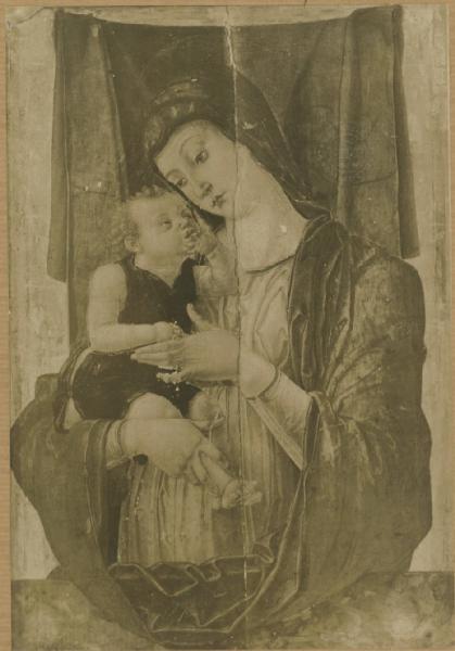 Liberale da Verona (attr.) - Madonna con Bambino - Dipinto su tavola