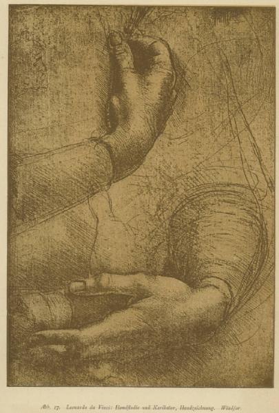 Leonardo da Vinci - Studio di mani femminili - Disegno - Windsor - Royal Collection