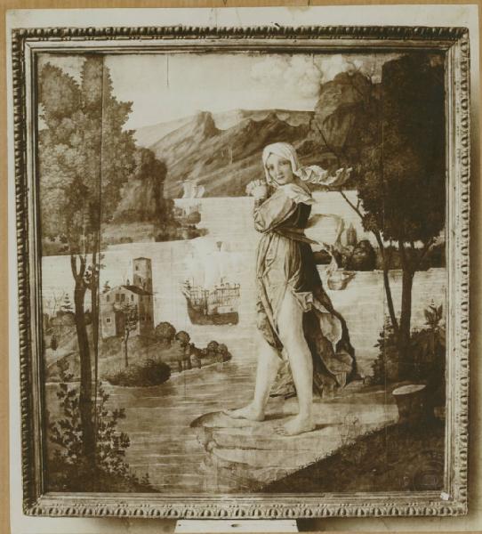 Girolamo dai Libri (già Araldi, Josaphat, già Caroto) - Arianna in Nasso - Dipinto su tavola - Amsterdam - Collezione Lanz