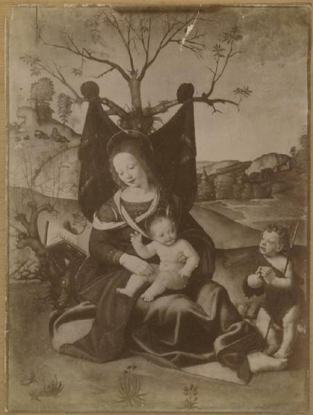 Piero di Cosimo - Madonna con Bambino e San Giovannino - Dipinto - Olio su tavola - Vienna - Collezione Liechtenstein