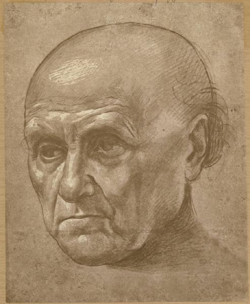 Piero di Cosimo - Testa di vecchio - Disegno - Bayonne - Musée Bonnat