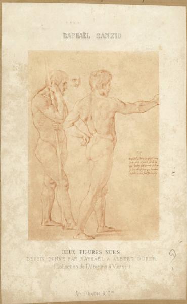 Sanzio, Raffaello - Studio di due nudi maschili per l'affresco della Stanza dell'Incendio del Borgo - Disegno - Vienna - Collezione Albertina