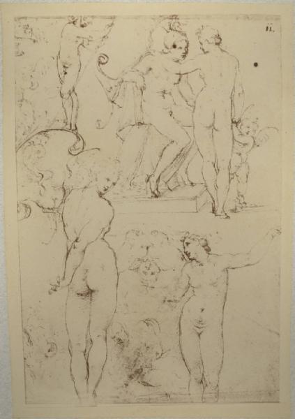 Cesare da Sesto - Studi per un gruppo con Venere Marte e amorino, per una Eva, una figura maschile, una grottesca e altre figure - Schizzi - Disegno