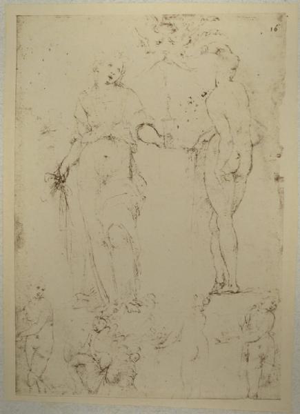 Cesare da Sesto - Studi per cinque figure di santi, un mascherone e una figura fantastica - Schizzi - Disegno