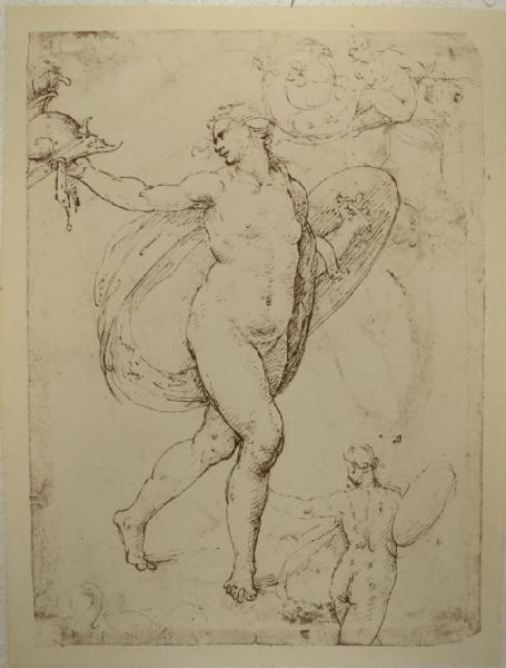 Cesare da Sesto - Studi per una figura femminile con elmo e scudo e figura grottesca - Schizzi - Disegno