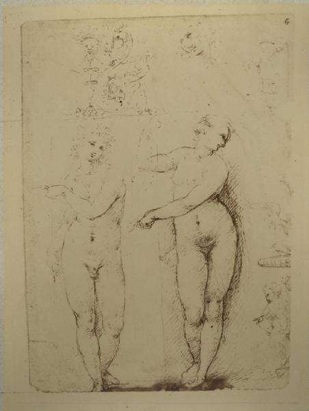 Cesare da Sesto - Studi per tre figure, una testa e grottesche - Schizzo - Disegno