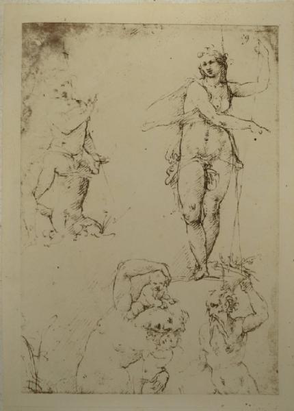 Cesare da Sesto - Studi per san Giovanni Battista e altre tre figure - Schizzi - Disegno