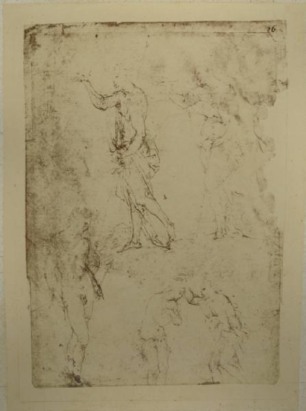 Cesare da Sesto - Studi per un battesimo di Cristo - Schizzi - Disegno