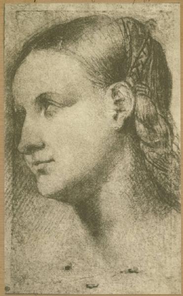 Palma il Vecchio - Testa di donna - Studio - Disegno - Parigi - Museo del Louvre