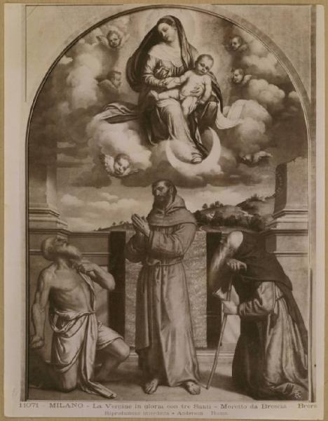 Bonvicino, Alessandro detto Moretto - Vergine in gloria e i santi Francesco d'Assisi, Girolamo e Antonio abate - Dipinto - Milano - Pinacoteca di Brera