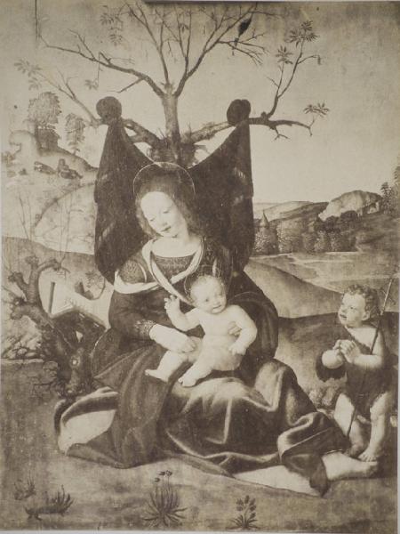 Piero di Cosimo - Madonna con Bambino e San Giovannino - Dipinto - Olio su tavola - Vienna - Collezione Liechtenstein