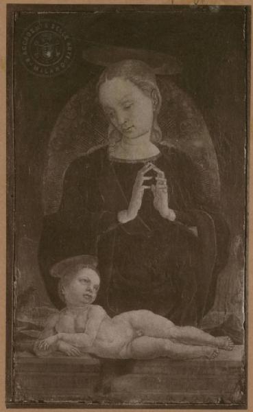 Tura, Cosme' - Madonna con Bambino - Dipinto su tavola - Roma - Colonna