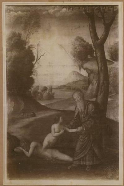 Boccaccino, Boccaccio - Creazione di Eva - Dipinto - Tempera su tela