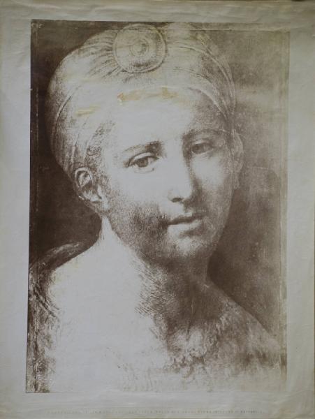 Solario, Andrea - Ritratto di giovane con turbante - Disegno - Vienna - Galleria dell'Arciduca Carlo