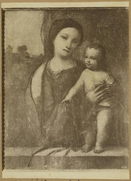 Tisi, Benvenuto detto Garofalo - Madonna con Bambino - Dipinto - Olio su tavola - Roma - Pinacoteca Capitolina