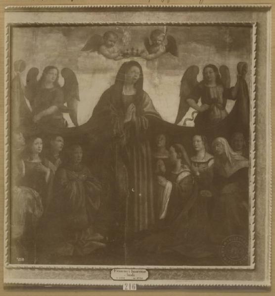 Botticini, Raffaello? - Madonna della Misericordia e donatori - Dipinto su tavola - Bologna - Pinacoteca Nazionale