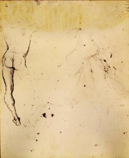 Sanzio, Raffaello - Nudo maschile visto di spalle e panneggio di figura inginocchiata - Disegno - Oxford - Ashmolean Museum