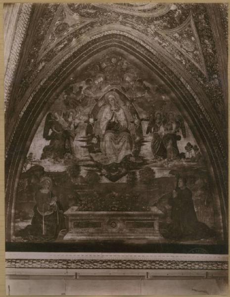 Bernardino di Betto detto Pinturicchio e Antonio del Massaro - Assunzione della Madonna - Affresco - Città del Vaticano - Musei Vaticani - Appartamento Borgia - Sala dei Misteri