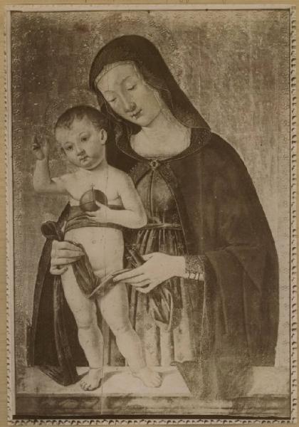 Piermatteo d'Amelia - Madonna con Bambino - Dipinto su tavola - Firenze - Uffizi