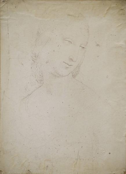 Eusebio da San Giorgio - Figura femminile - Busto di donna con la testa girata verso destra - Studio - Disegno - Lille - Palais des Beaux-Arts