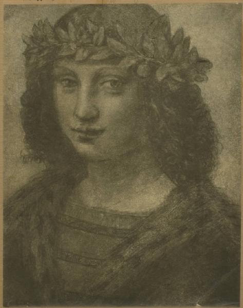Boltraffio, Giovanni Antonio - Busto di giovane con serto foliaceo - Disegno - Firenze - Uffizi - Gabinetto dei Disegni e delle Stampe