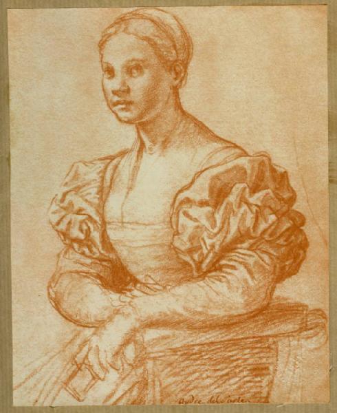 Andrea d'Agnolo detto Andrea del Sarto - Ritratto di donna seduta - Disegno - Parigi - Ecole des Beaux-Arts