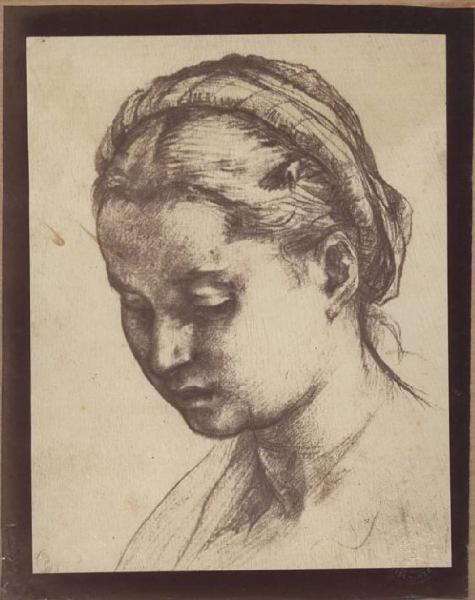 Andrea d'Agnolo detto Andrea del Sarto - Testa di giovane donna che guarda in basso - Disegno - Parigi - Ecole des Beaux-Arts