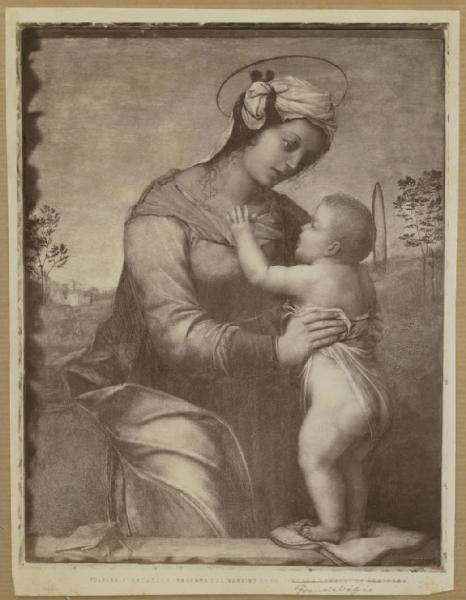 Francesco di Cristofano detto Franciabigio - Madonna con Bambino - Dipinto su tavola - Bologna - Pinacoteca Nazionale