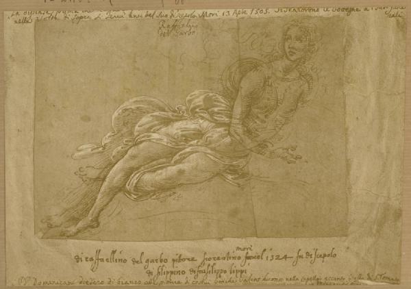 Lippi, Filippino - Europa - Disegno - Milano - Biblioteca Ambrosiana