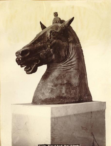 Donatello - Testa di cavallo detta "Carafa" - Scultura in bronzo - Napoli - Museo Archeologico Nazionale