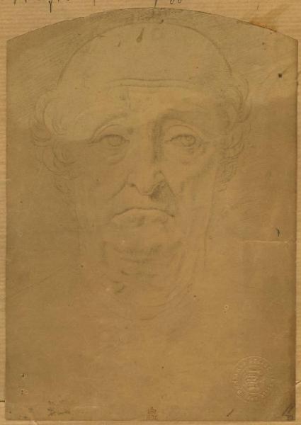 Maestro della Pala Sforzesca - Studio di testa di vecchio - Disegno - Londra - British Museum - Department of Prints and Drawings