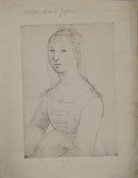 Sanzio, Raffaello - Ritratto di Fanciulla - Busto di donna - Disegno - Londra - British Museum - Department of Prints and Drawings